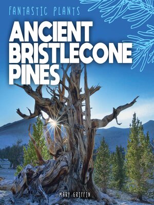 cover image of Ancient Bristlecone Pines